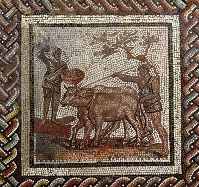 Ploughing, from Saint-Romain-en-Gal, Rhone-Alpes, France by Roman